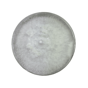 A round petri dish filled with white, fluffy mould or fungal growth.