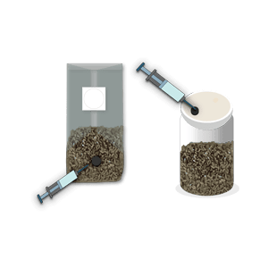 Two syringes injecting liquid into grain-filled containers, one a bag and one a jar, both with grey lids.