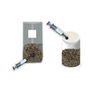 Two syringes injecting liquid into grain-filled containers, one a bag and one a jar, both with grey lids.