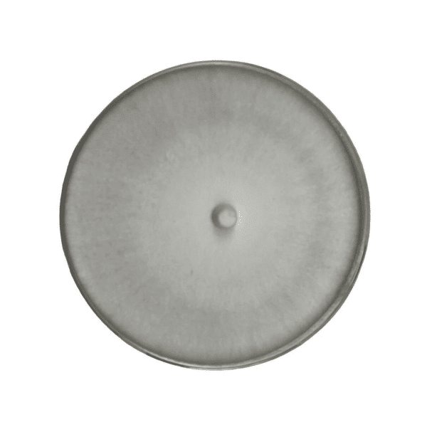 A circular, greyish disc with a slightly darker rim and a small raised bump in the centre.