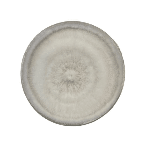 Round ceramic plate with a grey, textured, and slightly gradient pattern viewed from above.