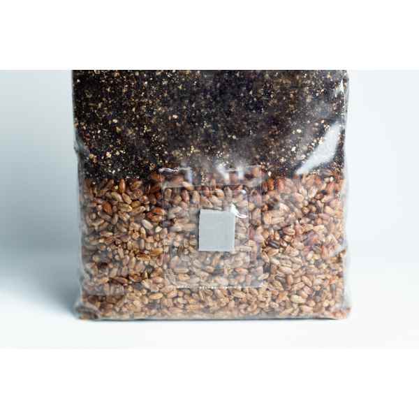 Clear plastic bag filled with grains and soil, sealed with a small square filter patch on the front.