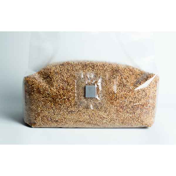 A clear plastic bag filled with quinoa grains, sealed and resting on a white surface.