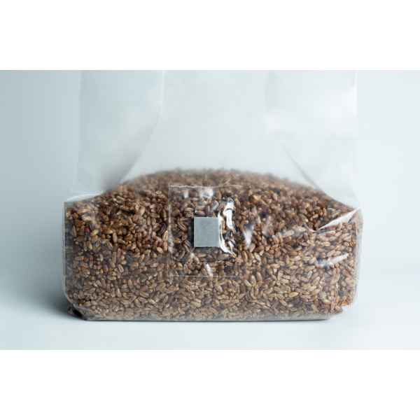 A sealed plastic bag filled with grains, viewed against a plain white background.