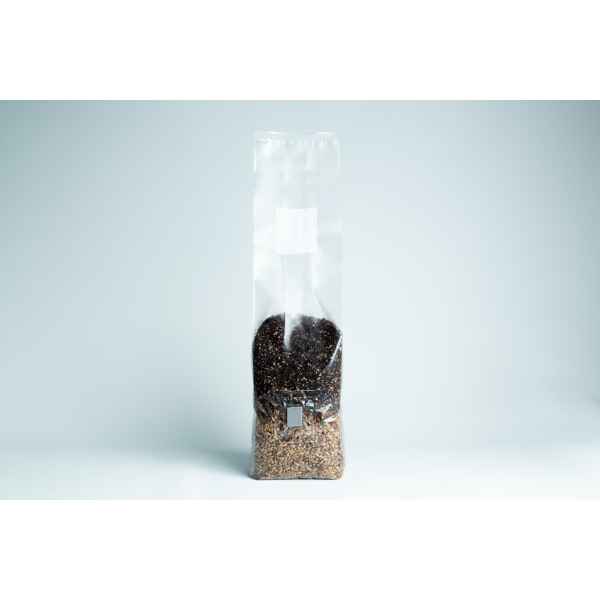 A clear plastic bag filled with brown and black seeds, standing upright on a light surface.