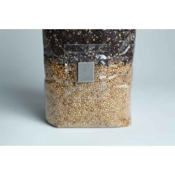 A plastic bag filled with white grains at the bottom and dark soil at the top.