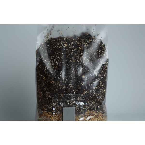 A clear plastic bag filled with potting compost and small stones, sealed at the top.