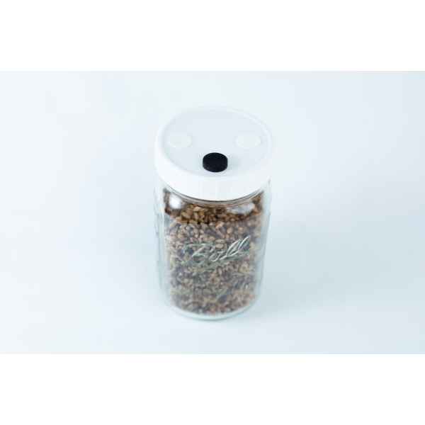 A 1L Grain Jars jar, pre-sterilised and filled with organic millet and rye seeds, comes in a reusable glass jar with a white lid, photographed against a simple light background.