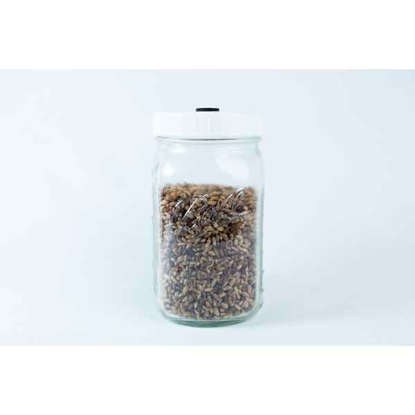 A clear 1L Ball grain jar with a white lid is filled with organic millet and rye, set against a plain white background. The pre-sterilised jar and lid are reusable.