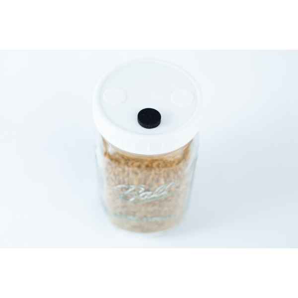 The Grain Jars Ball 1L Pre-Sterilised with a white lid and black centre dot comes filled with organic millet and rye grains in a reusable jar.