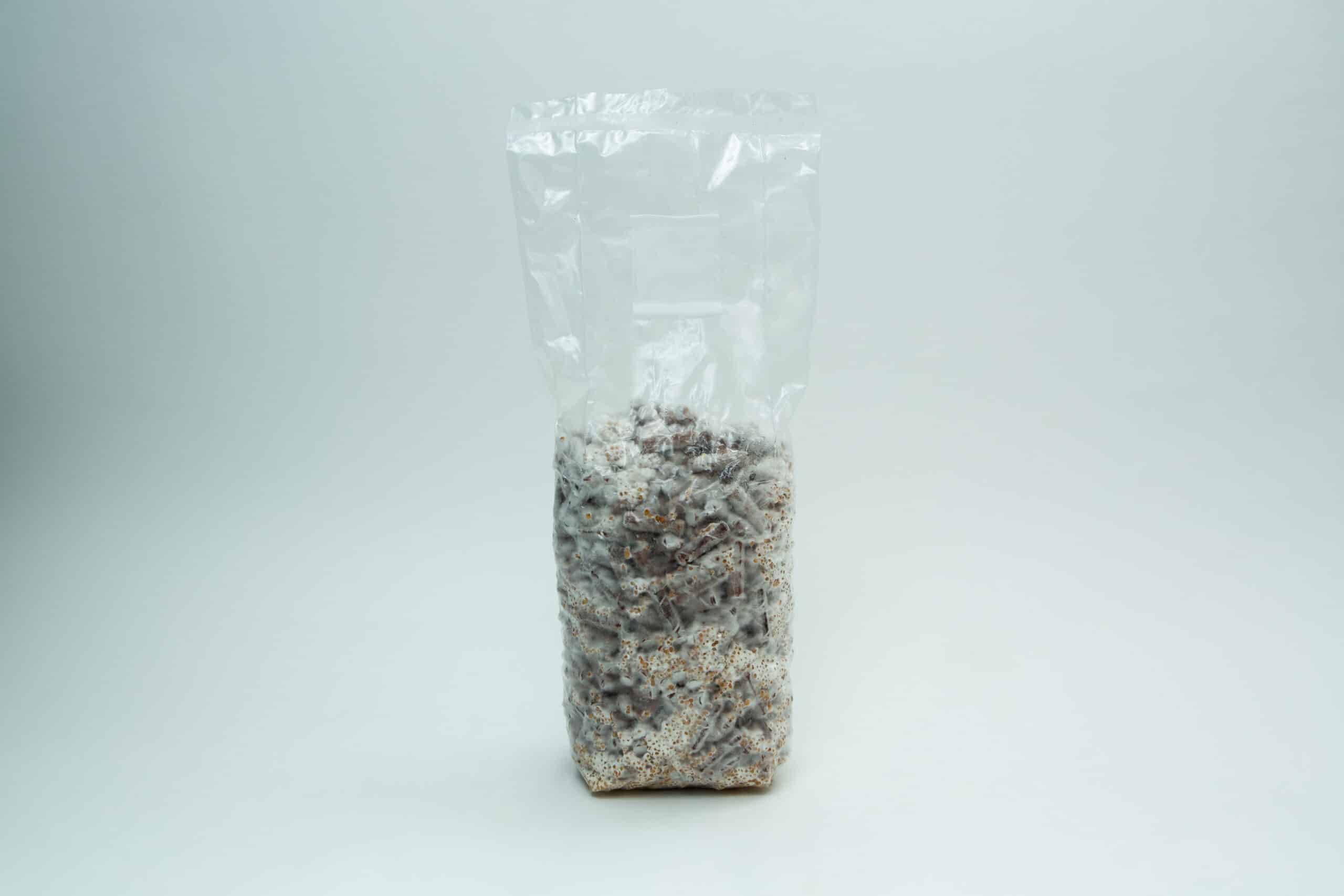 Log Dowel Mushroom Plug Spawn | Shiitake 5000 | Lentinula edodes 5 A bag containing Log Dowel Mushroom Plug Spawn | Shiitake 5000 | Lentinula edodes, featuring clear plastic filled with substrate and white mycelium for cultivating Shiitake mushrooms.