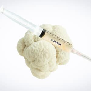 A syringe of Mushroom Liquid Culture | Lion’s Mane Claw Heat Tolerant | Hericium erinaceus | Commercial rests atop a cluster of white mushrooms.
