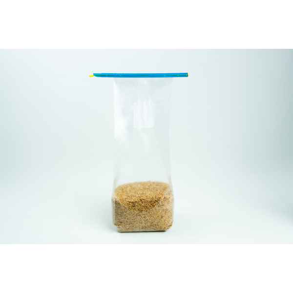 A clear plastic zip bag partially filled with brown granulated sugar, standing upright on a white background.