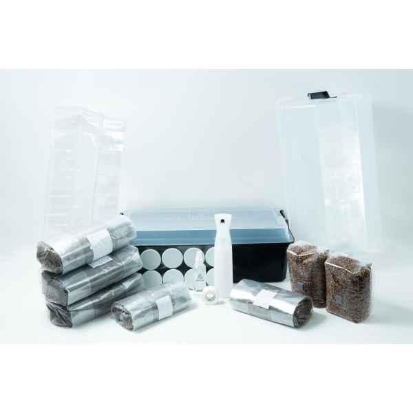 A mushroom growing kit with substrate bags, a clear tub, spray bottle, and accessories on a white background.