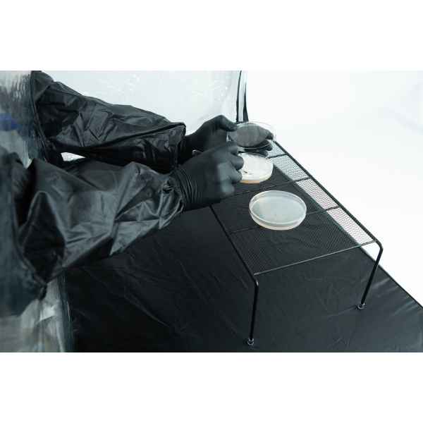 Person in black gloves and suit handling petri dishes on a metal rack in a laboratory setting.