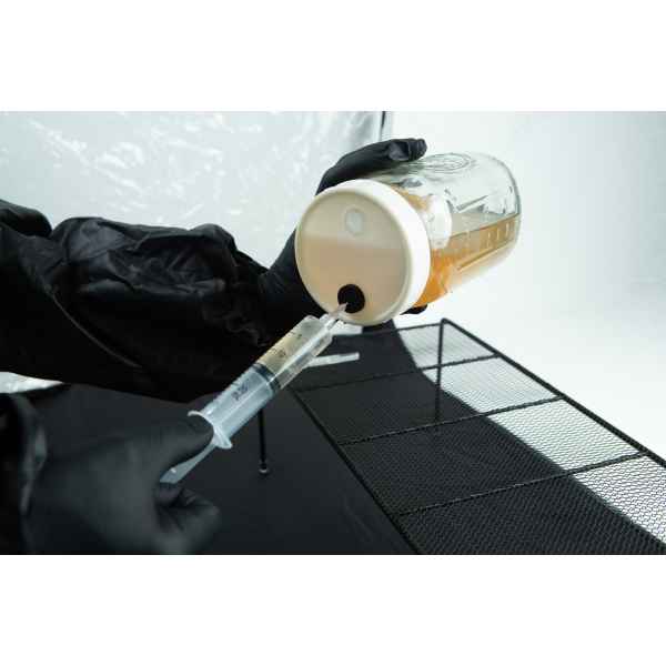 Gloved hands draw liquid from a glass jar with a syringe through a rubber port in the lid.