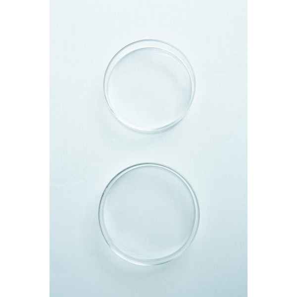 Two empty, round glass petri dishes placed vertically on a white surface.