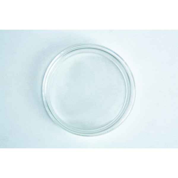 A clear, empty glass petri dish on a white textured surface, viewed from above.