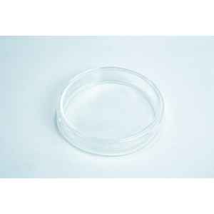 A clear, empty glass Petri dish on a white surface.