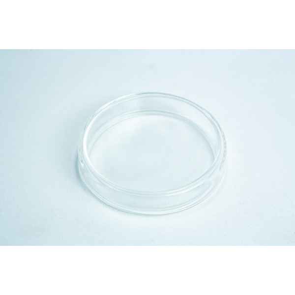 A clear, empty glass Petri dish on a white surface.
