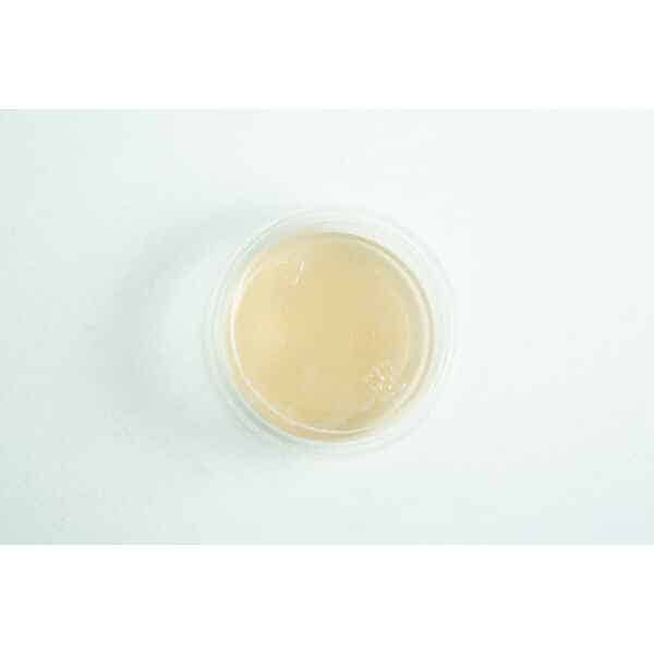 Biodegradable Agar Cups (MEA | MEAG) filled with light brown liquid, shown from above on a white background.