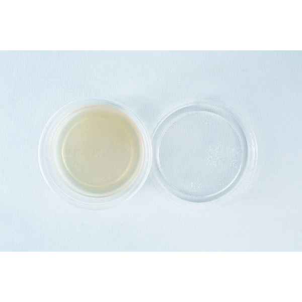 A clear plastic container with a lid, filled with a light yellow liquid, on a white surface.
