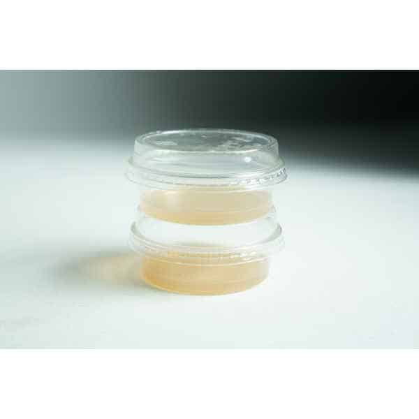 Two clear Biodegradable Agar Cups | MEA | MEAG are stacked, each containing a yellowish liquid, displayed against a white background.
