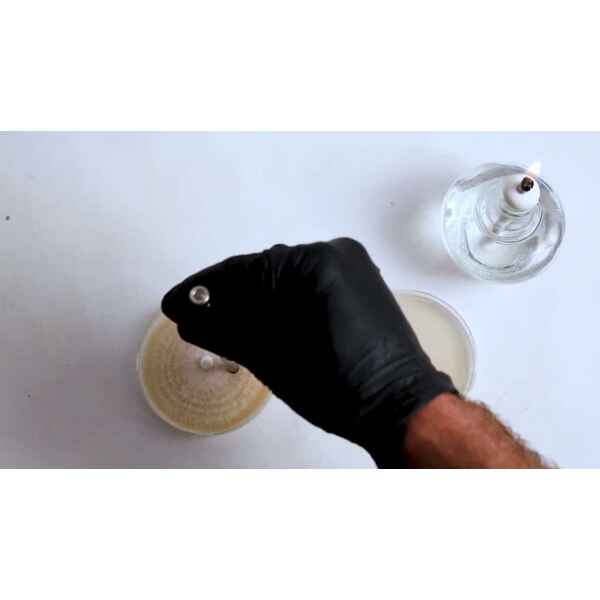 A gloved hand inoculates a petri dish beside a lit spirit lamp on a white surface.