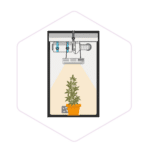 Illustration of a potted plant growing under a grow light inside a small indoor grow box with ventilation, featuring mushroom farming supplies from Mushroom Supplies Australia.