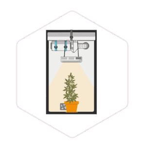 Greenhouse & Hydroponics