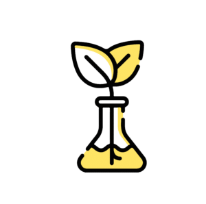 A yellow laboratory flask with a plant stem and two leaves growing from its top, symbolising innovation in Mushroom Supplies Australia.