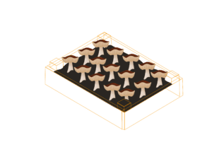 Illustration of mushrooms growing in a rectangular container with an orange outline on a white background, perfect for showcasing mushroom growing supplies.