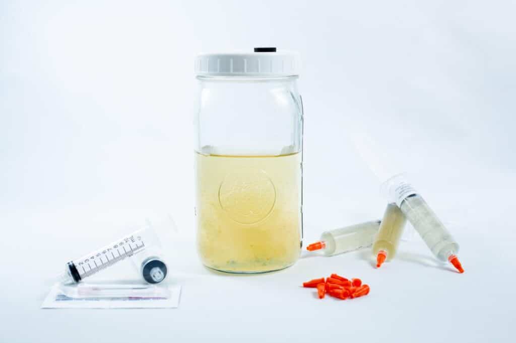 How to Sterilize Liquid Culture Jar in a Microwave? 1 WhatsApp Image 2025 01 23 at 3.14.46 PM 1