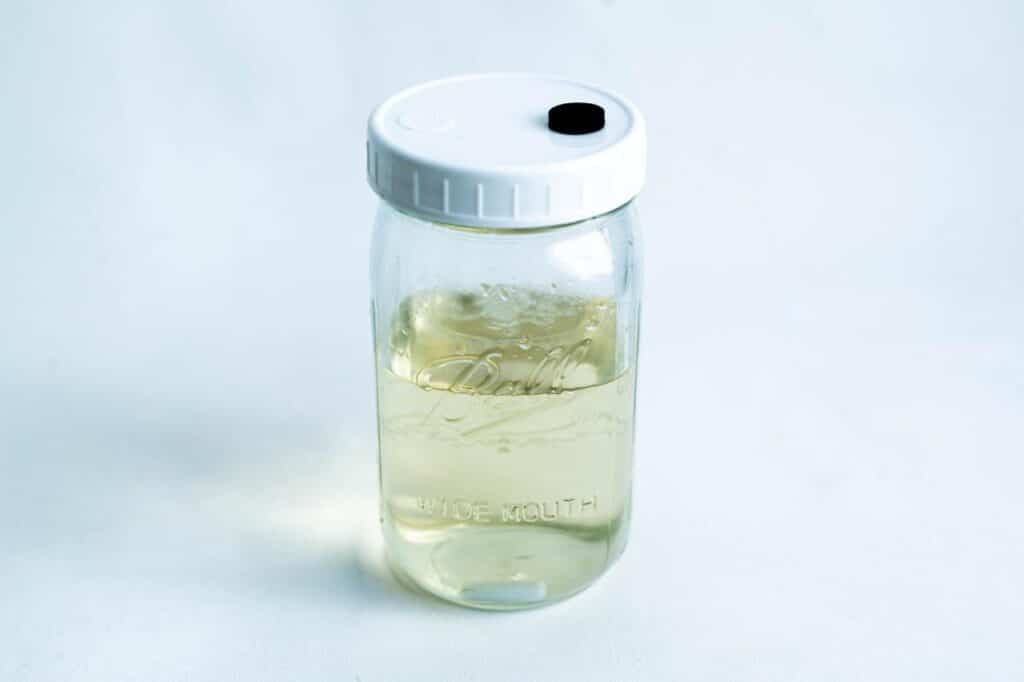 How to Sterilize Liquid Culture Jar in a Microwave? 2 WhatsApp Image 2025 01 23 at 3.15.33 PM 1