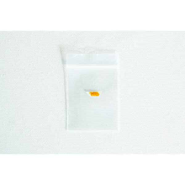 A small clear plastic bag containing a bit of yellow substance from the Slime mould kit – Physarum polycephalum rests on a white textured background.