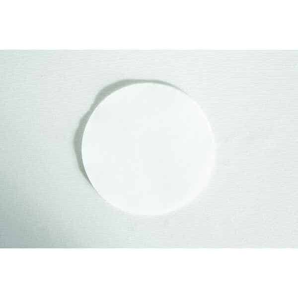 A white cotton pad from the Slime mould kit - Physarum polycephalum sits on a textured, light surface.