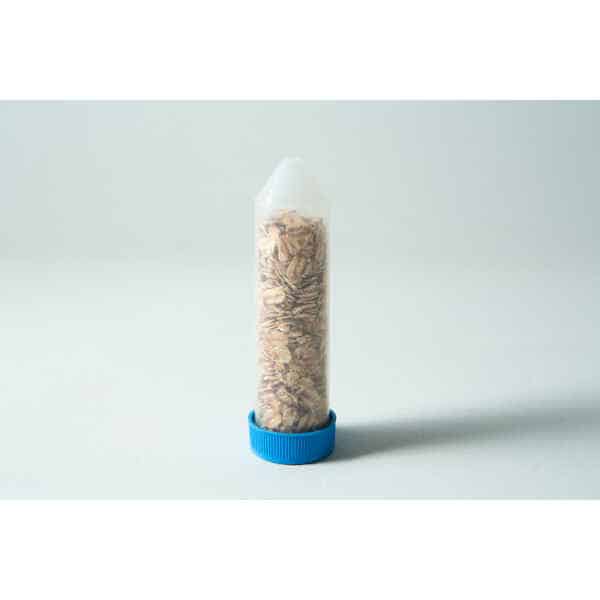 A clear plastic tube with a blue cap containing oat flakes, standing upright on a white surface—perfect for the Slime mould kit - Physarum polycephalum.