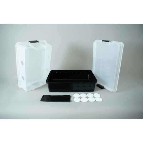 Plastic mushroom growing kit with a black tray, Colonisation Lid, two clear lids, filter discs, and a black filter patch—ideal for growing mushrooms at home.