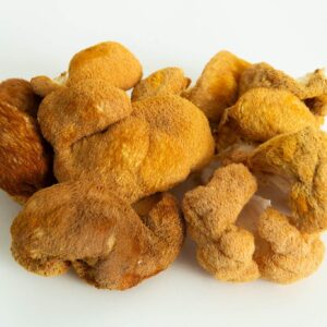 A cluster of wild, brown, fuzzy Freeze-Dried Mushroom Lion’s Mane on a white background.