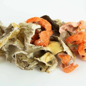 A pile of Dehydrated Oyster Mushroom in beige, orange, and brown shades on a white background.
