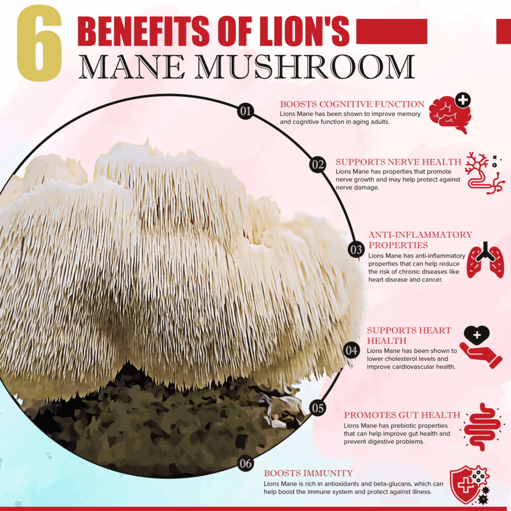 Lion’s Mane Mushroom infographic showcases six potential benefits, such as improved cognition, immunity, and heart health.