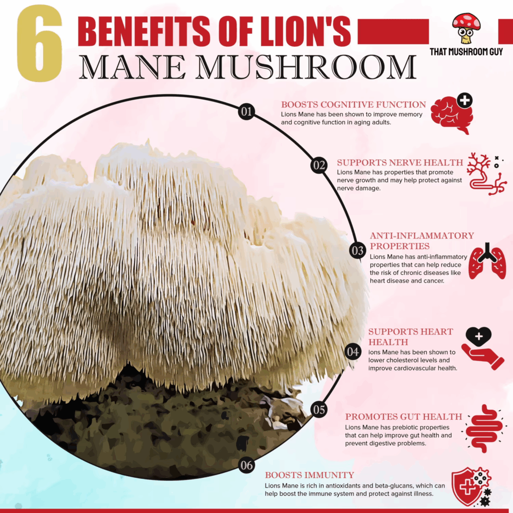 Large Lion’s Mane mushroom with six health benefits of Lion’s Mane supplements listed around it in bold text and decorative icons.