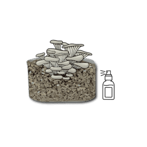 Mushroom Grow Kits - Spray and Grow