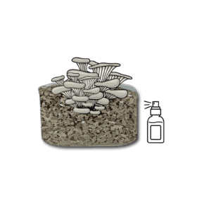 Mushroom Grow Kits - Spray and Grow