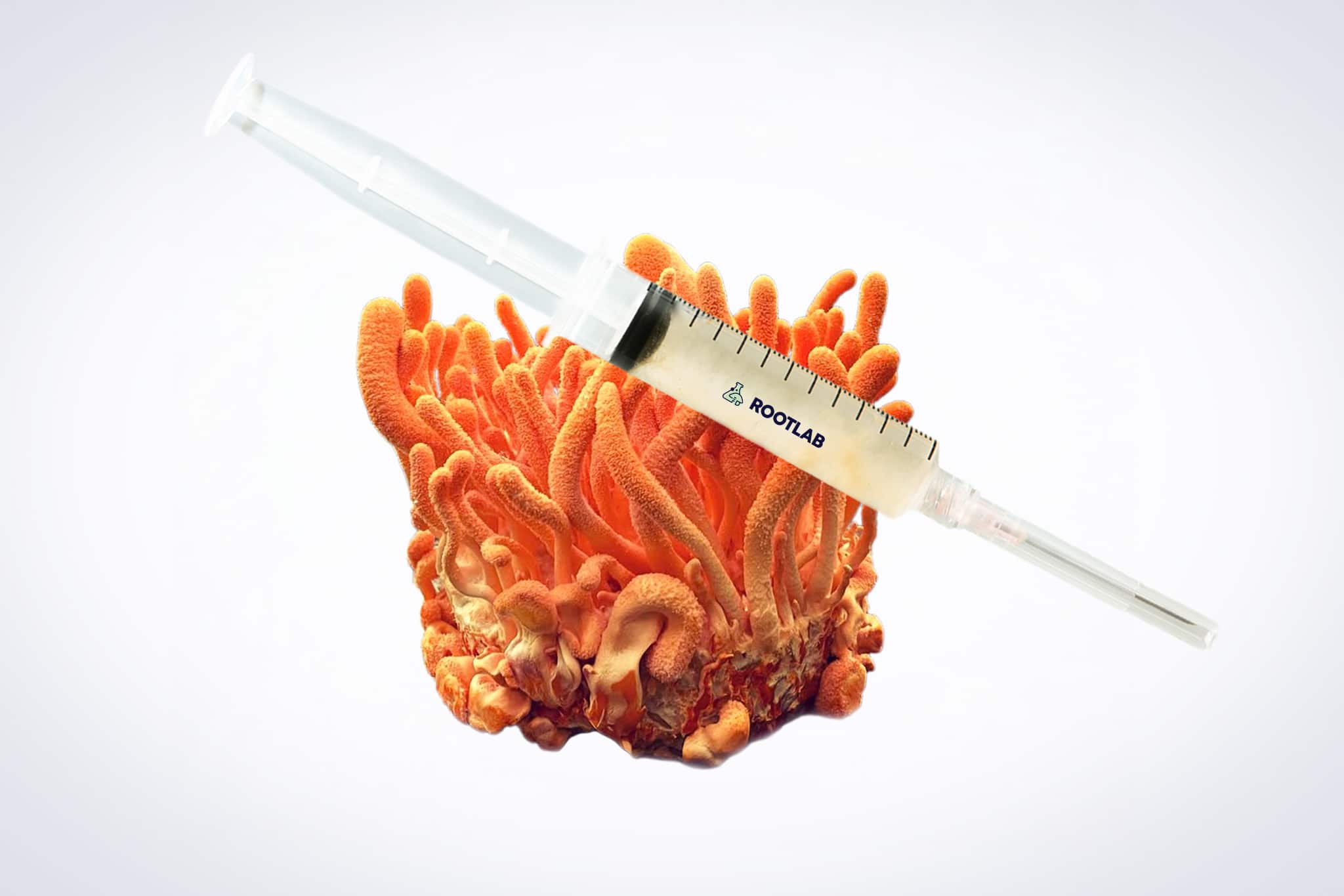 A syringe filled with liquid rests on top of a bright orange coral-like fungus against a white background.