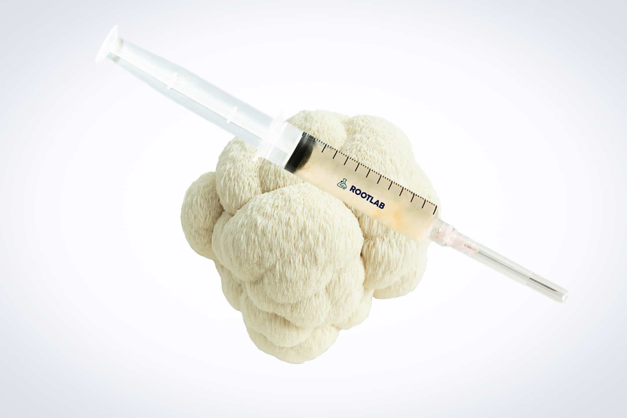 Mushroom Liquid Culture | Lions Mane Pride | Hericium erinaceus 1 A syringe filled with liquid rests on top of a head of cauliflower against a white background.