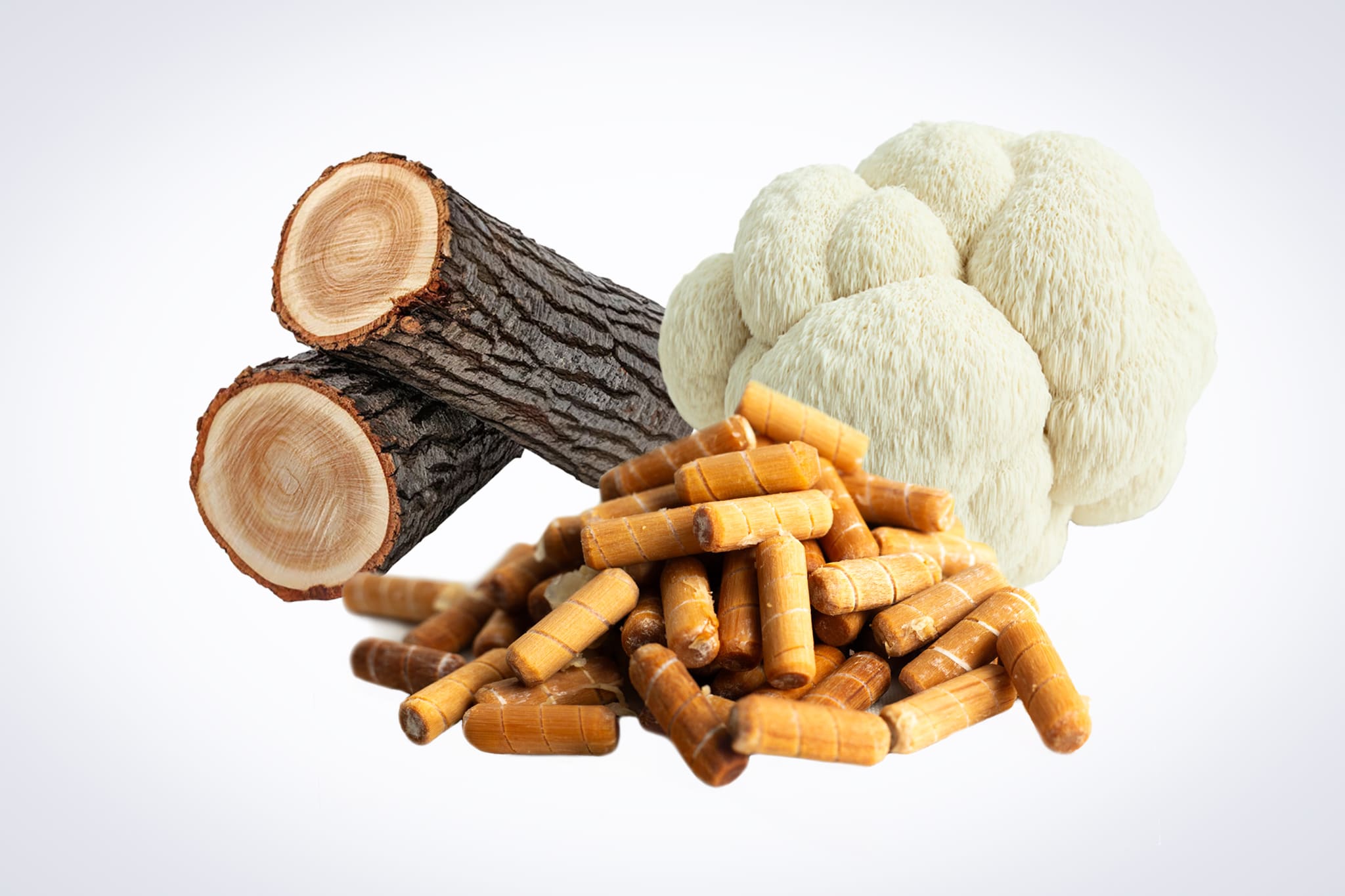 Log Dowel Mushroom Plug Spawn | Lions Mane Pride | Hericium erinaceus 1 Two logs, a lion’s mane mushroom, and a pile of brown capsules on a white background.