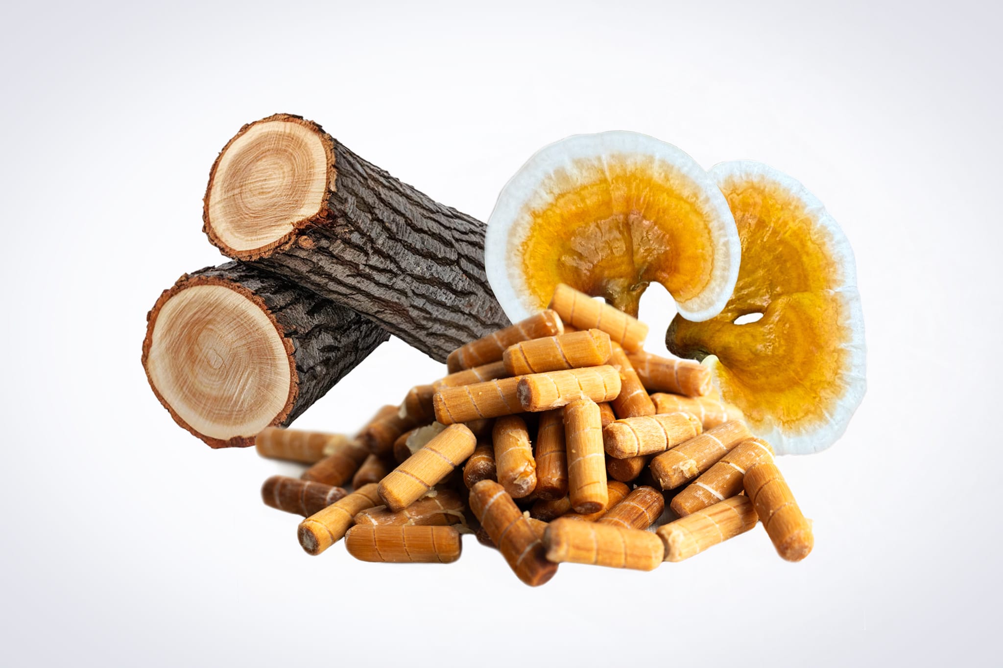 Log Dowel Mushroom Plug Spawn | Native Australian Reishi | Ganoderma steyaertanum 1 Two cut logs, two dried mushroom slices, and several wood pellets on a white background.