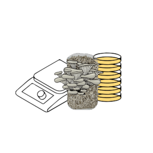 Bundles