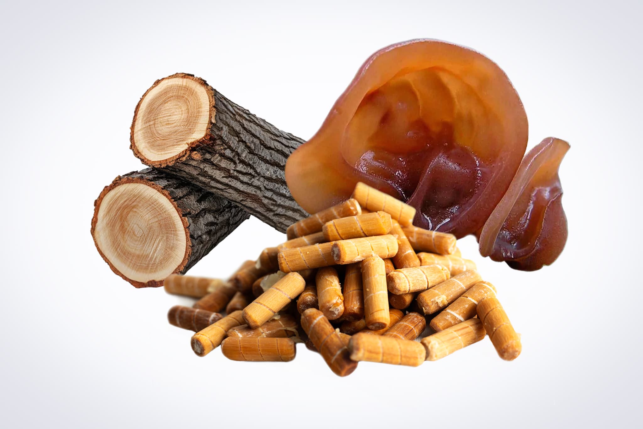Sliced logs, capsules, and a brown ear-shaped mushroom on a white background.